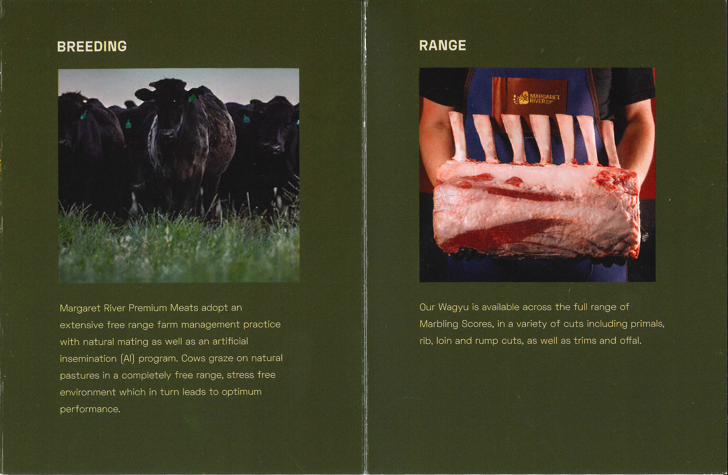 Wagyu Beef