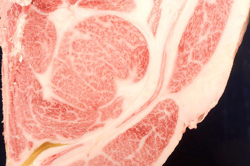 Capital Meat Imports